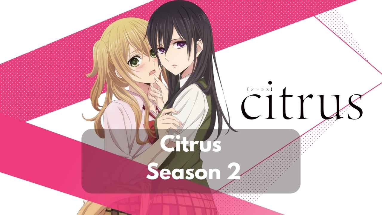 Citrus Season 2 Kapan Rilis