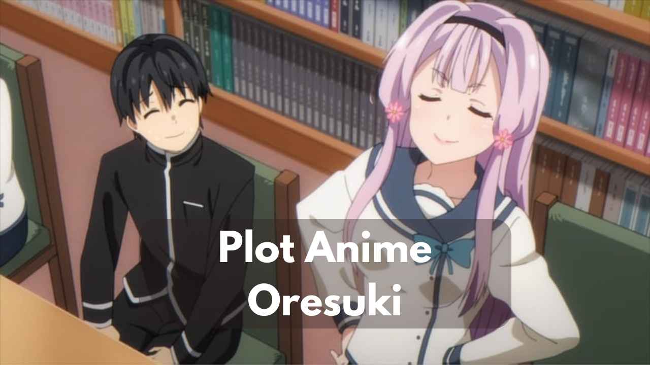 Plot Anime Oresuki